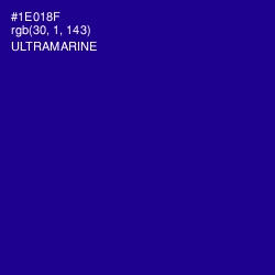 #1E018F - Ultramarine Color Image