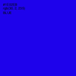 #1E02EB - Blue Color Image