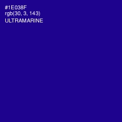#1E038F - Ultramarine Color Image