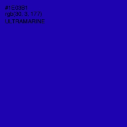 #1E03B1 - Ultramarine Color Image