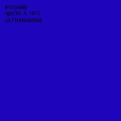 #1E04BB - Ultramarine Color Image