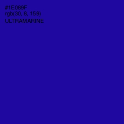 #1E089F - Ultramarine Color Image