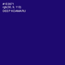 #1E0971 - Deep Koamaru Color Image