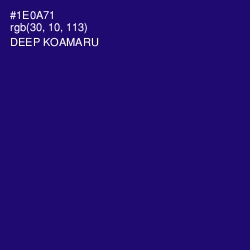 #1E0A71 - Deep Koamaru Color Image