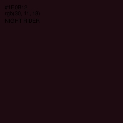 #1E0B12 - Night Rider Color Image