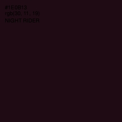 #1E0B13 - Night Rider Color Image