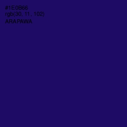 #1E0B66 - Arapawa Color Image