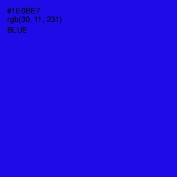 #1E0BE7 - Blue Color Image