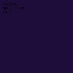 #1E0C3A - Haiti Color Image