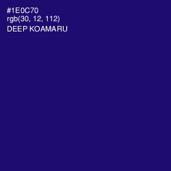 #1E0C70 - Deep Koamaru Color Image