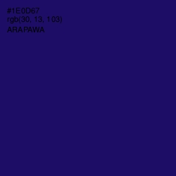 #1E0D67 - Arapawa Color Image