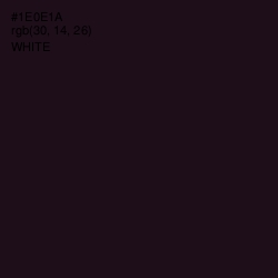 #1E0E1A - Night Rider Color Image