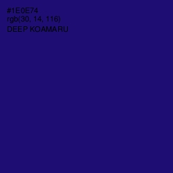 #1E0E74 - Deep Koamaru Color Image