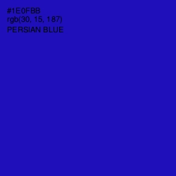 #1E0FBB - Persian Blue Color Image