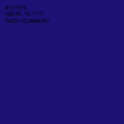 #1E1075 - Deep Koamaru Color Image