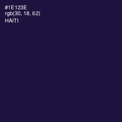 #1E123E - Haiti Color Image