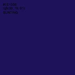 #1E135B - Bunting Color Image