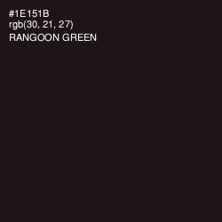 #1E151B - Rangoon Green Color Image