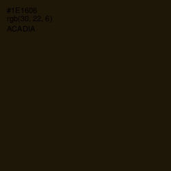 #1E1606 - Acadia Color Image