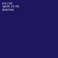 #1E175F - Bunting Color Image