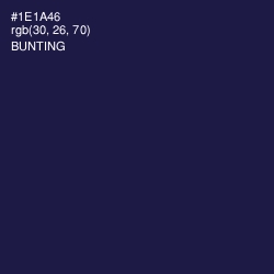 #1E1A46 - Bunting Color Image