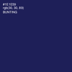 #1E1E59 - Bunting Color Image
