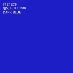 #1E1EC6 - Dark Blue Color Image