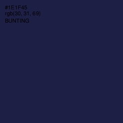 #1E1F45 - Bunting Color Image