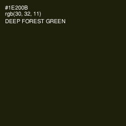 #1E200B - Deep Forest Green Color Image