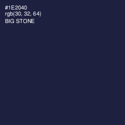 #1E2040 - Big Stone Color Image