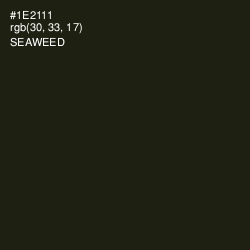 #1E2111 - Seaweed Color Image