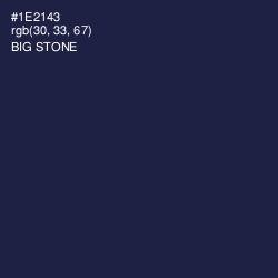 #1E2143 - Big Stone Color Image