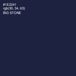 #1E2241 - Big Stone Color Image