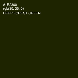 #1E2300 - Deep Forest Green Color Image