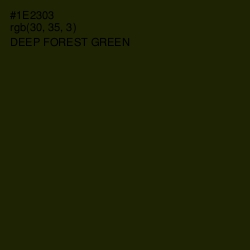 #1E2303 - Deep Forest Green Color Image