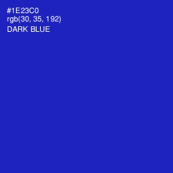 #1E23C0 - Dark Blue Color Image