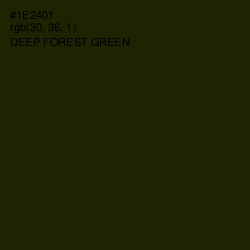 #1E2401 - Deep Forest Green Color Image