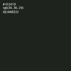 #1E241D - Seaweed Color Image