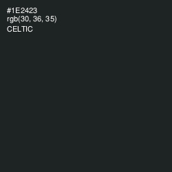 #1E2423 - Celtic Color Image