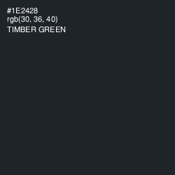 #1E2428 - Timber Green Color Image