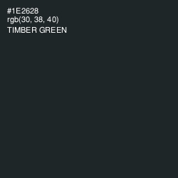 #1E2628 - Timber Green Color Image