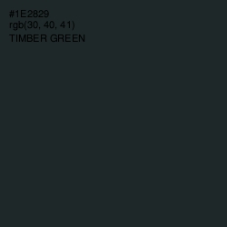 #1E2829 - Timber Green Color Image