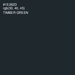 #1E282D - Timber Green Color Image