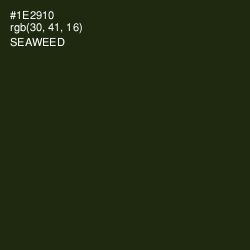 #1E2910 - Seaweed Color Image