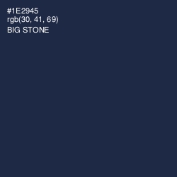 #1E2945 - Big Stone Color Image
