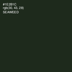 #1E2B1C - Seaweed Color Image