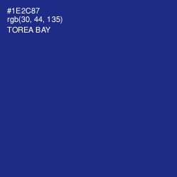 #1E2C87 - Torea Bay Color Image