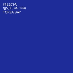 #1E2C9A - Torea Bay Color Image