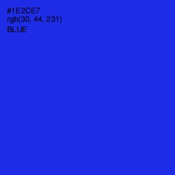 #1E2CE7 - Blue Color Image