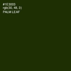 #1E3003 - Palm Leaf Color Image